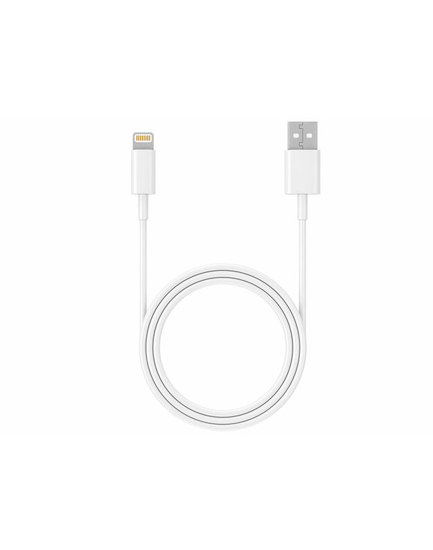 Tracer 47086 USB 2.0 iPhone AM Lightning 1m white