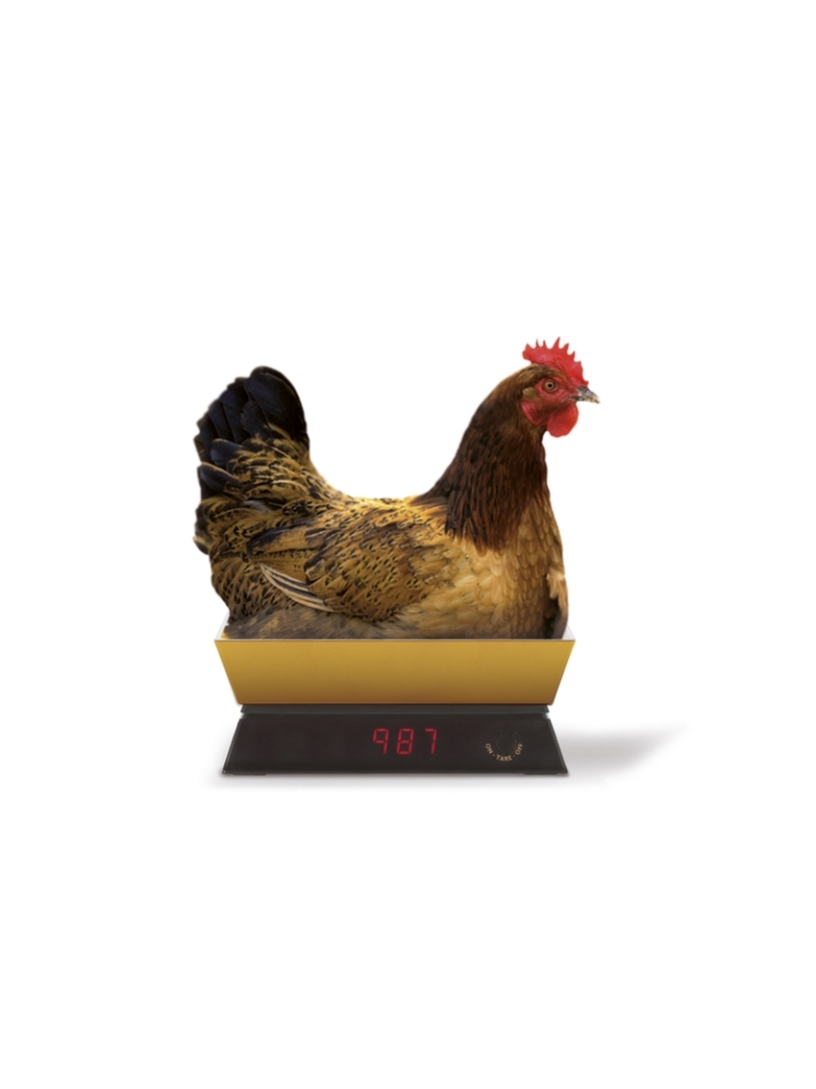 ViceVersa Kitchen Scale 5kg gold 12982